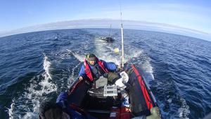 В УрФУ разработали магнитометры для исследования трубопроводов на глубине до 30 метров под водой